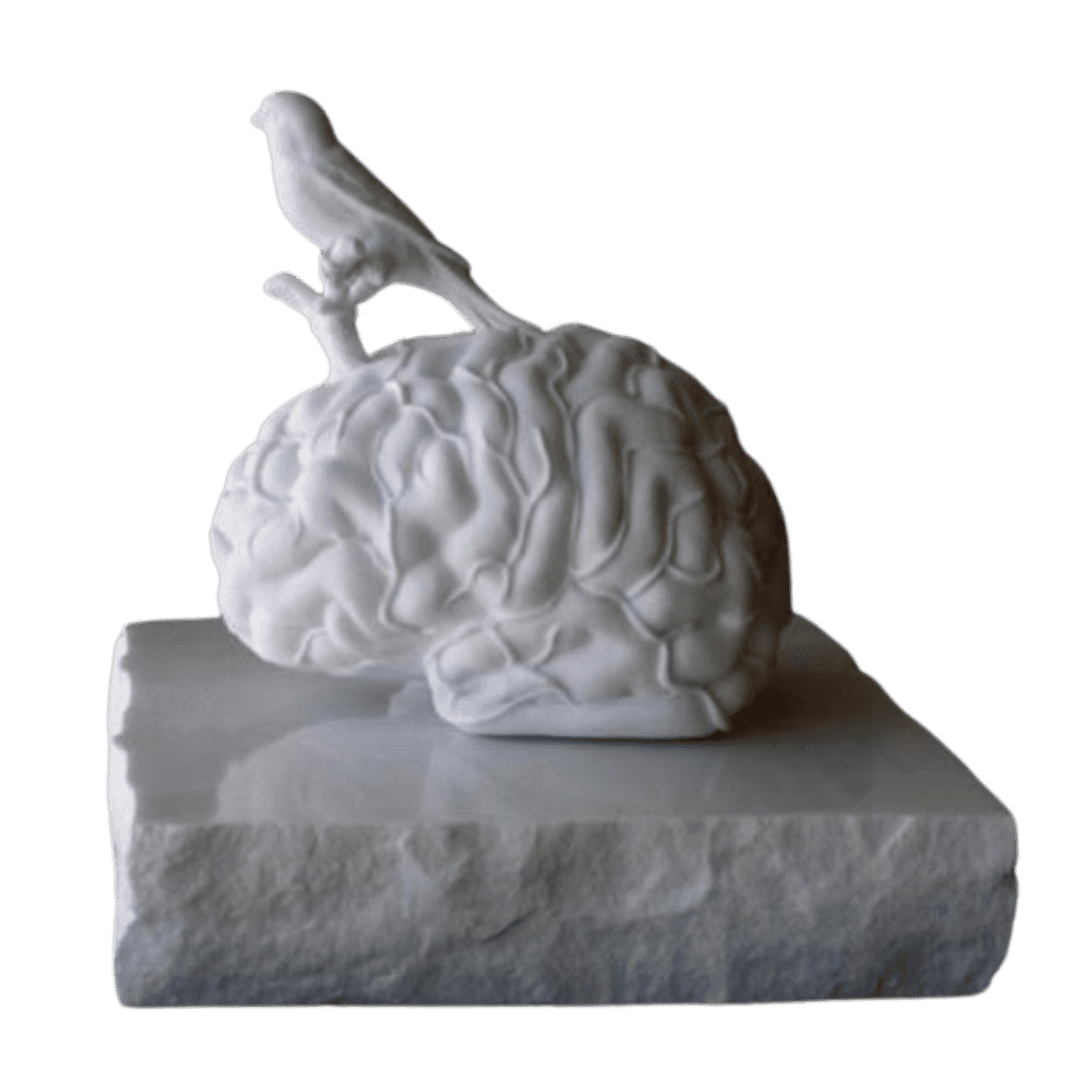 Jan Fabre - Dreaming about the speed of freedom (2024)