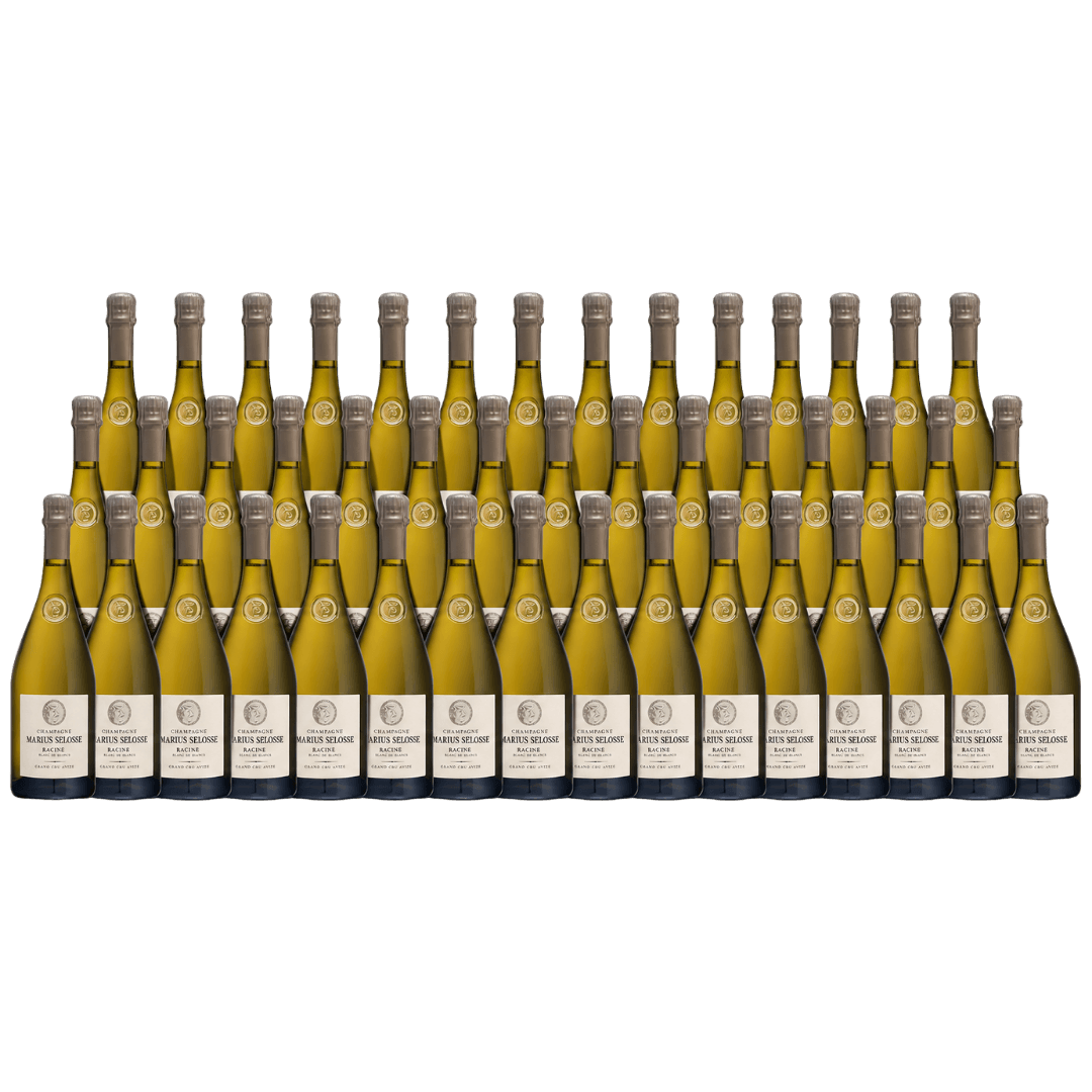 Marius Selosse – Racines Avize Grand Cru Blanc de Blancs 2019